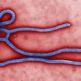 مكافحة وباء الإيبولا بواسطة الإعلام