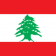 مندوبية ليبيا تعزي مندوبية لبنان بضحايا انفجار بيروت