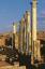 APOLLONIA 006.jpg